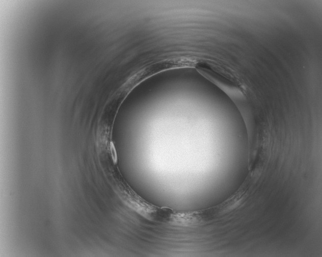 X0000080150141200612221959