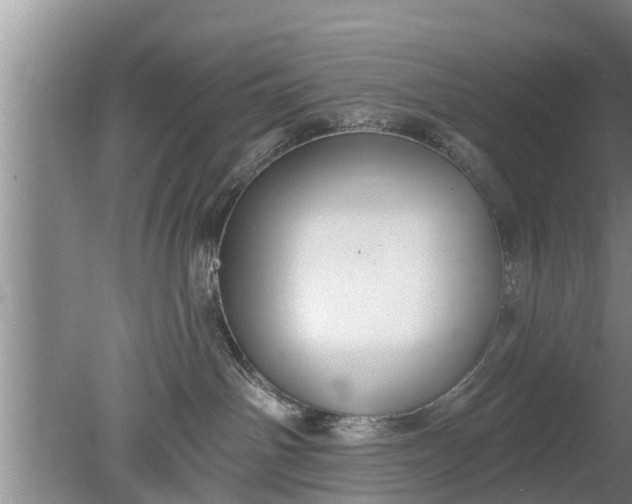 X0000080150142200612221959