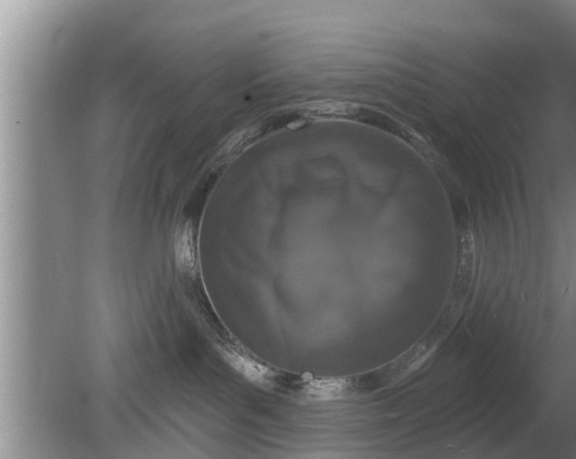 X0000080150143200612221959