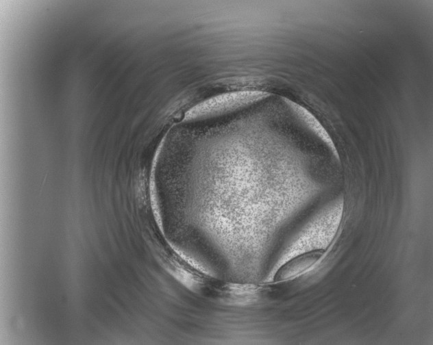 X0000080150144200612221958