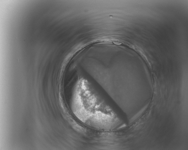 X0000080150145200612221958