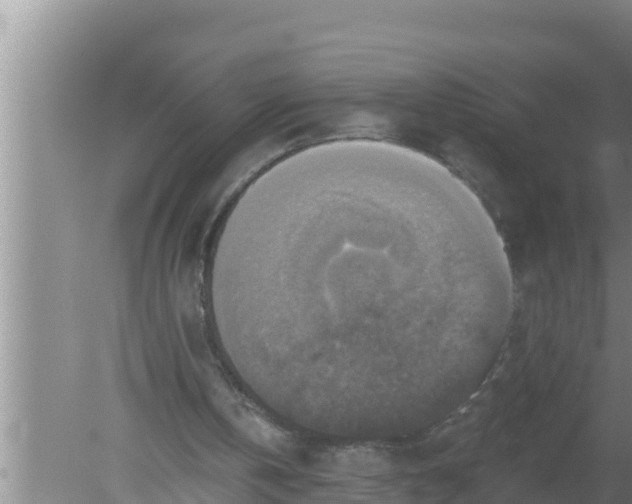 X0000080150146200612221958