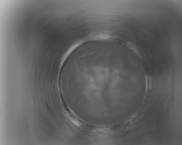 X0000080150147200612221958