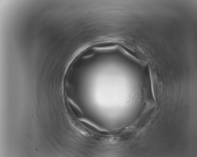 X0000080150148200612221958