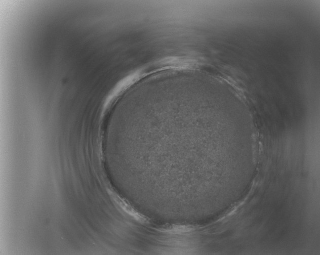 X0000080150149200612221958