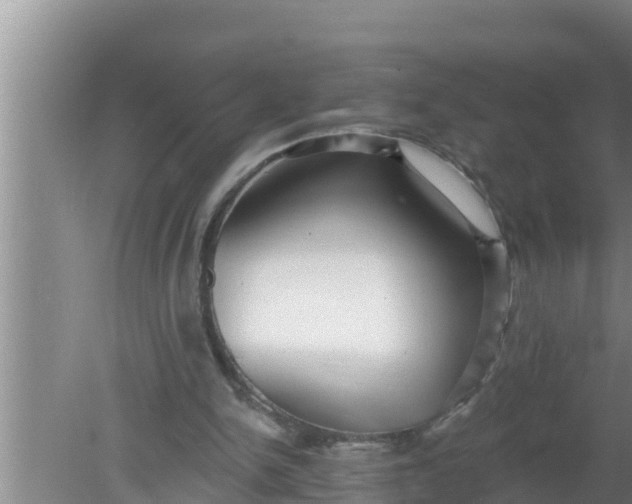 X0000080150150200612221958