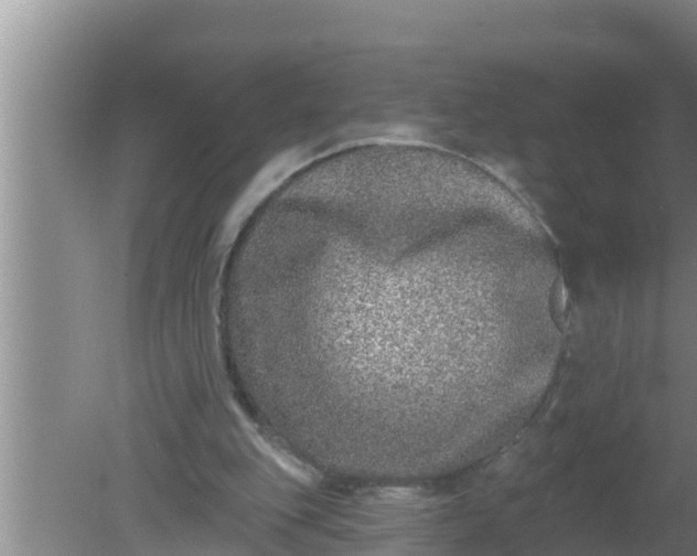 X0000080150151200612221958