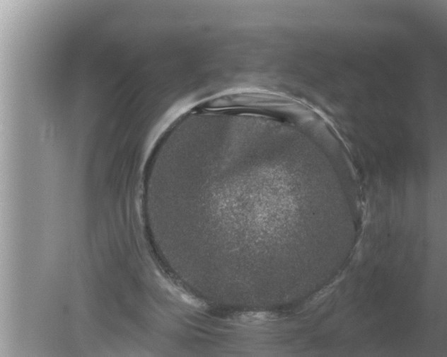 X0000080150152200612221958