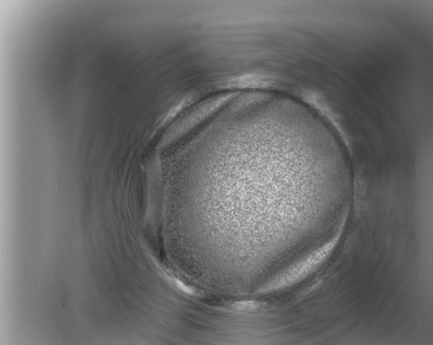 X0000080150153200612221958