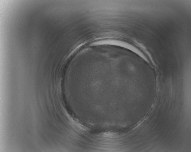 X0000080150154200612221958