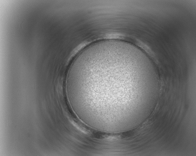 X0000080150155200612221958