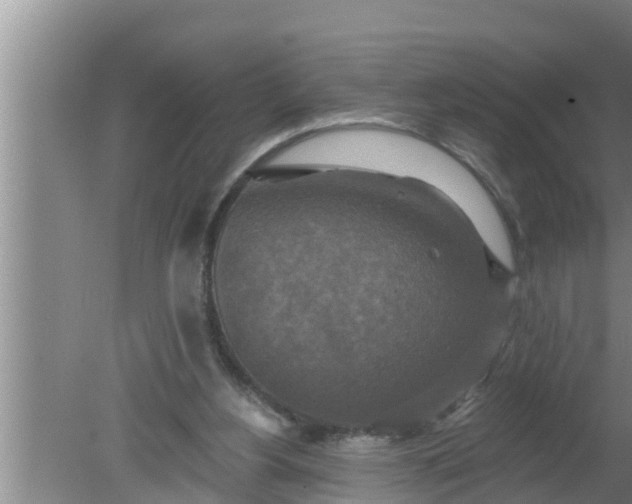 X0000080150156200612221958