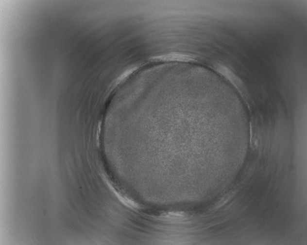 X0000080150157200612221958