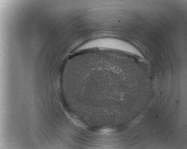 X0000080150158200612221958