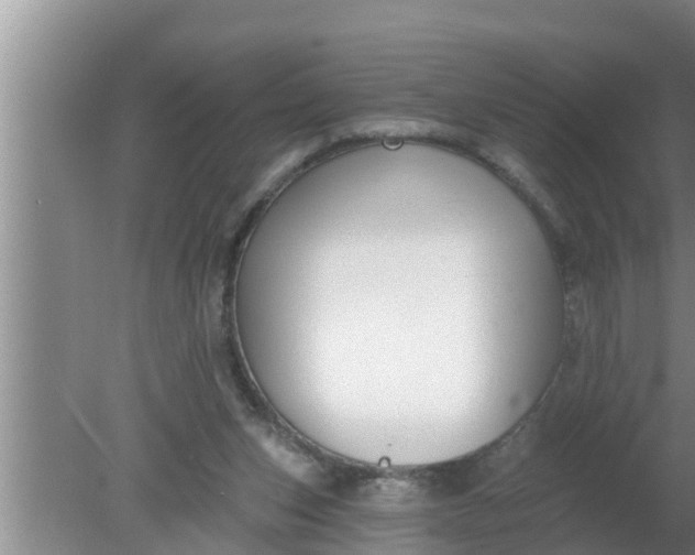 X0000080150159200612221958