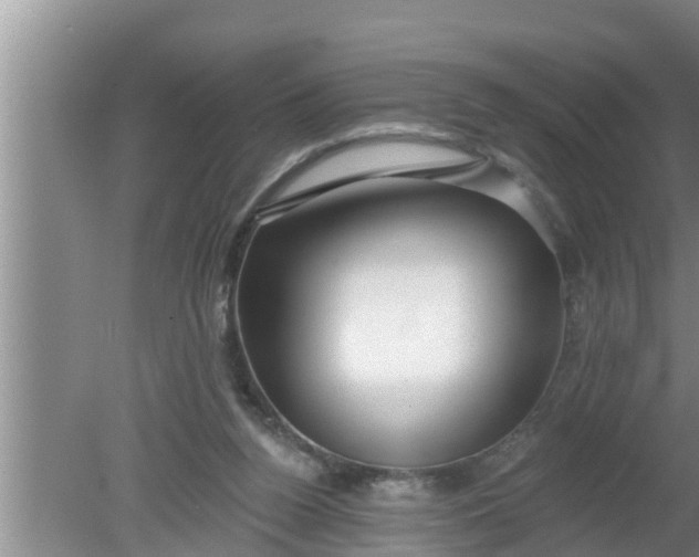 X0000080150160200612221958