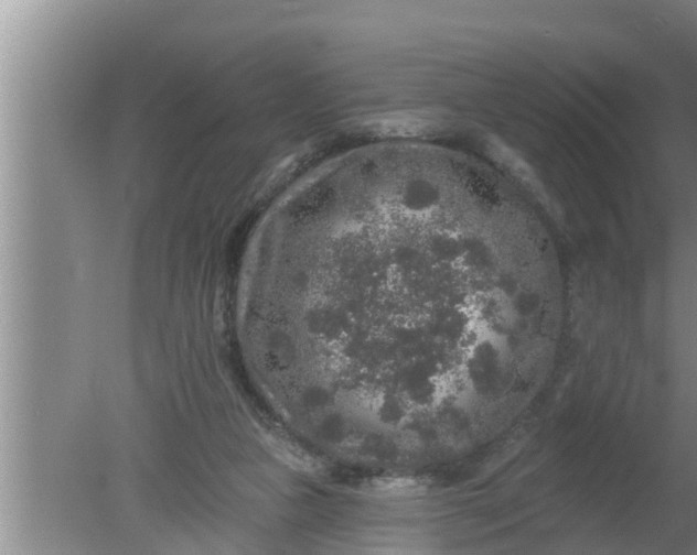 X0000080150161200612221958