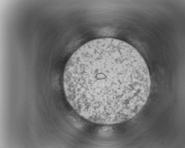 X0000080150162200612221958