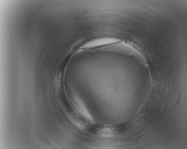 X0000080150163200612221958