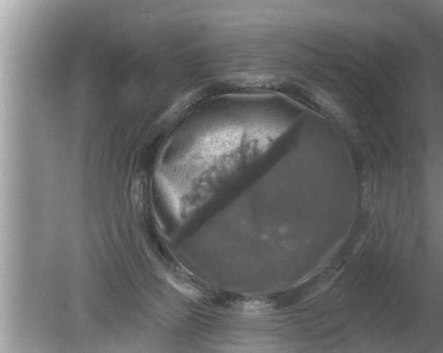 X0000080150165200612221958