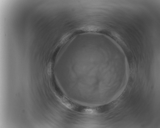 X0000080150167200612221958