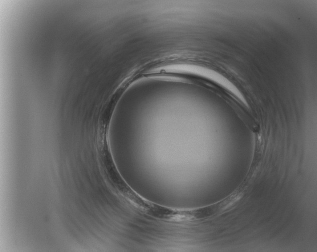 X0000080150168200612221958