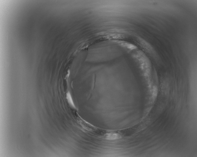 X0000080150169200612221958