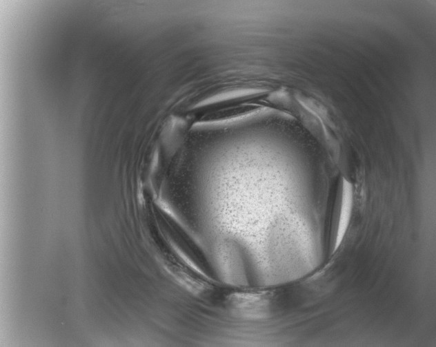 X0000080150170200612221958