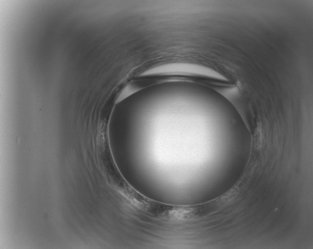 X0000080150172200612221958