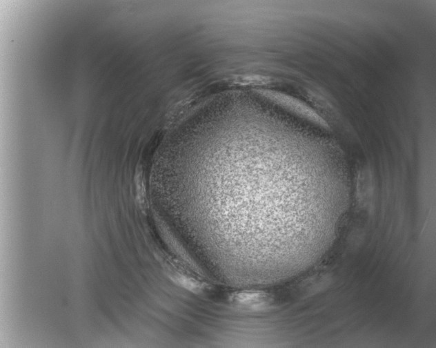 X0000080150173200612221958