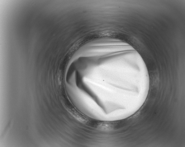 X0000080150174200612221958