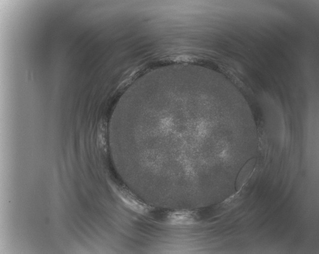 X0000080150175200612221958