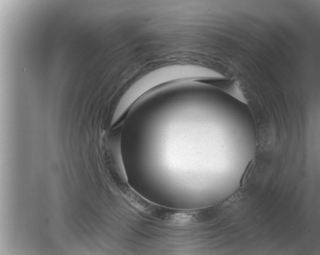 X0000080150176200612221958