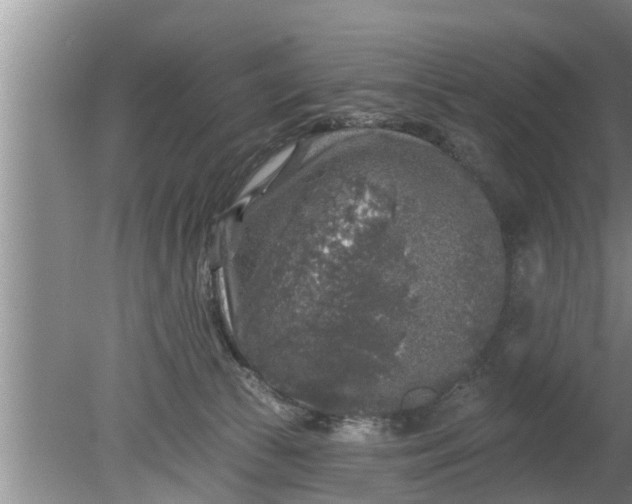 X0000080150177200612221958