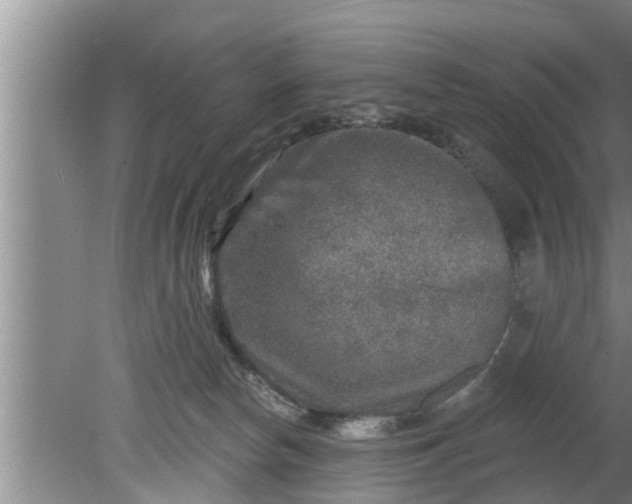 X0000080150178200612221958