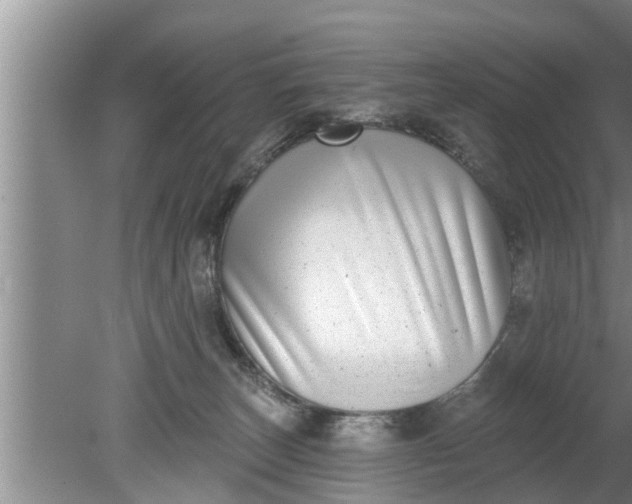 X0000080150179200612221958