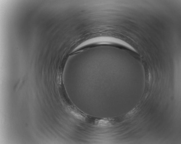 X0000080150180200612221958