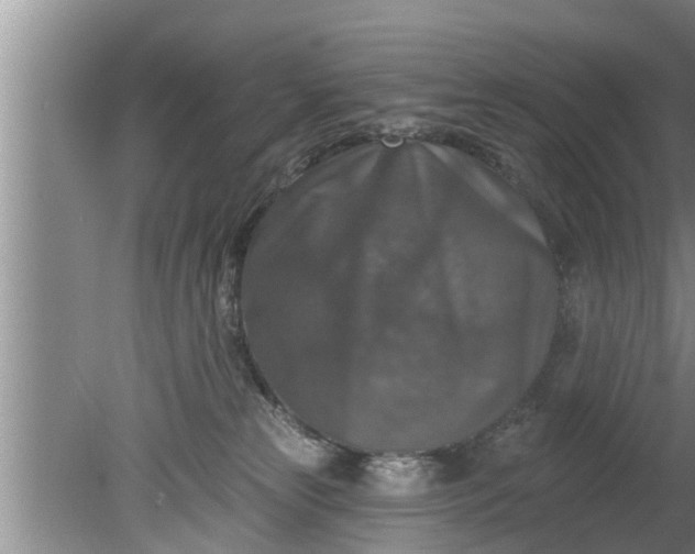 X0000080150181200612221958