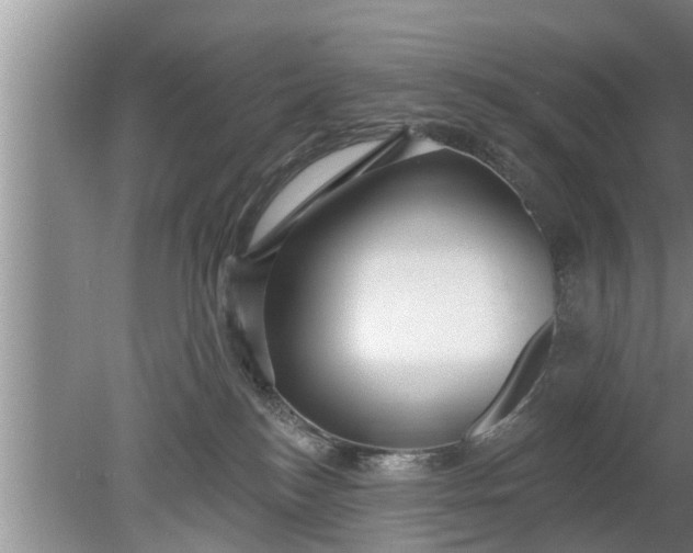 X0000080150184200612221958