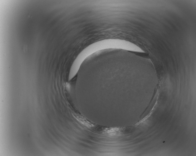 X0000080150186200612221958