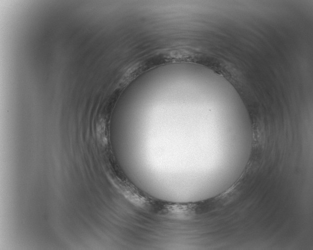 X0000080150187200612221958