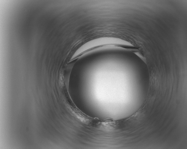 X0000080150188200612221958