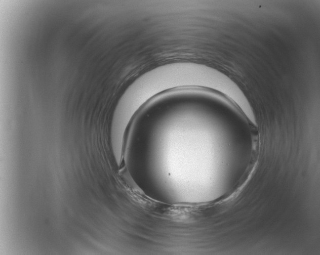 X0000080150190200612221958