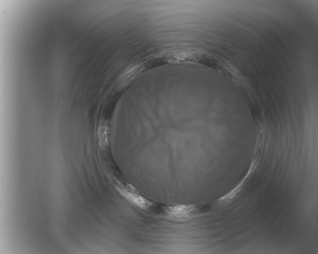 X0000080150191200612221958