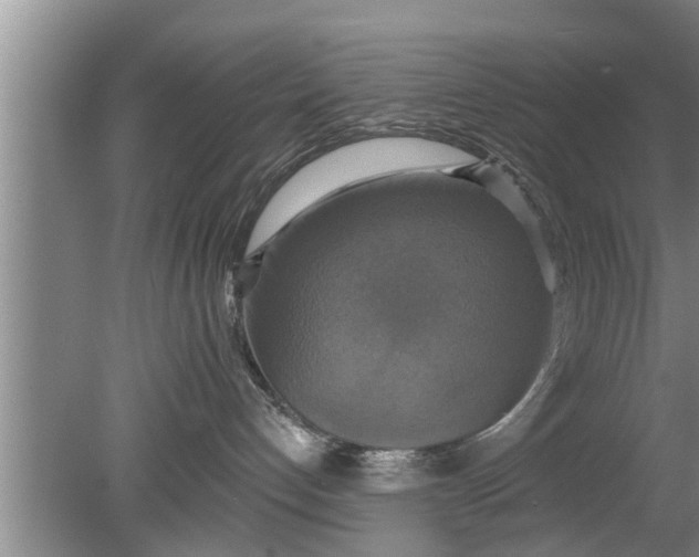 X0000080150192200612221958