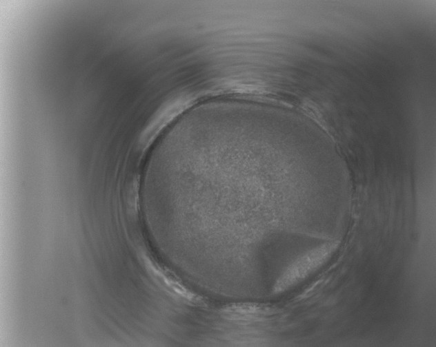 X0000080150194200612221958