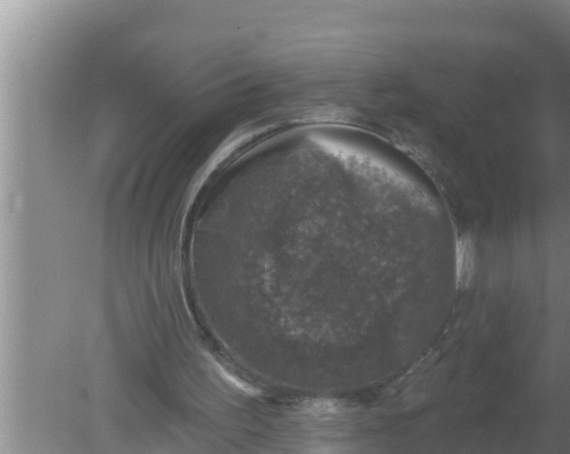 X0000080150195200612221958