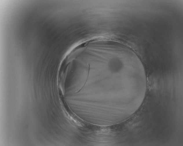 X0000080150196200612221958