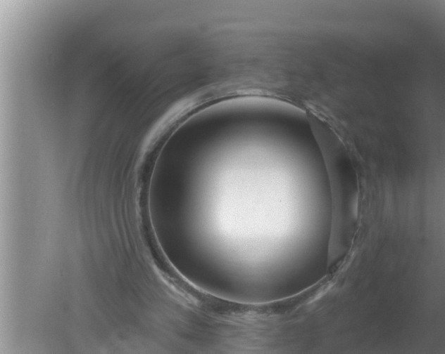 X0000080150197200612221958