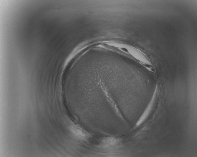 X0000080150198200612221958